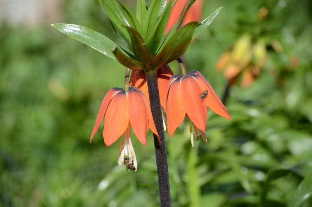 Bu insanlar neye bakıyor? Gece-gündüz nöbet tutuyorlar, ilk kez görenler şaştı kaldı! 49